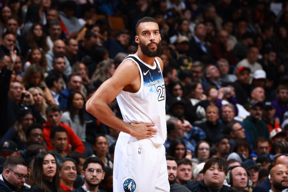 盲犬颁发奖 盲犬颁发奖